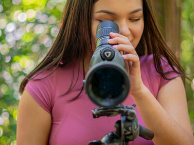 Observación de Especies