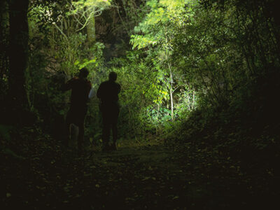 Sentier de Nuit