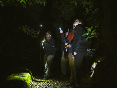 Sentier de Nuit