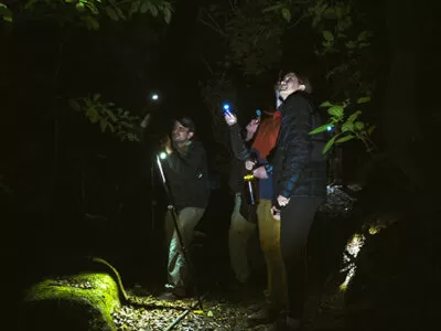 Night Trail